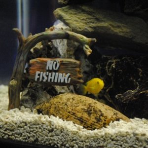 No fishing!