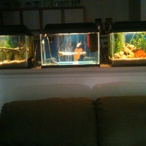 the aquarium counter! LOL