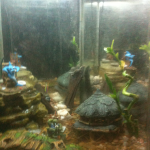 Redecorated my river tank a bit and added some spiral bamboo