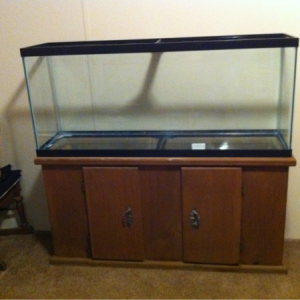 The 55 gallon tank I just got for my SW tank