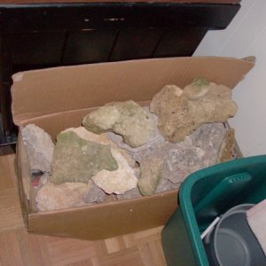 some reef rocks (75-80 lbs)to get started planing to mix with 50-100 lbs of live rocks