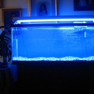 its a cool pic the tank was brand spanking new