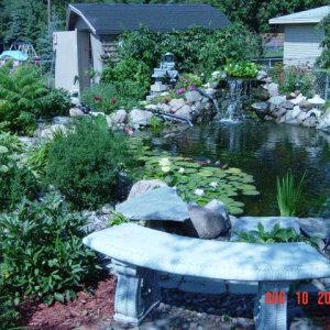 This is another shot of my pond.
enjoy :)