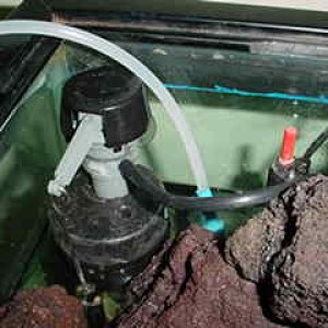Here is a picture of the auto top-off I rigged from a toilet refill setup. The 1/4" water line runs to my cold-water supply from the kitchen sink. The