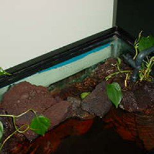 The return from my canister filter fills a small pool in the back-right of the tank. The water spills out into the tank through a small stream, runnin
