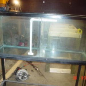 55 gal fuge / sump  in the works