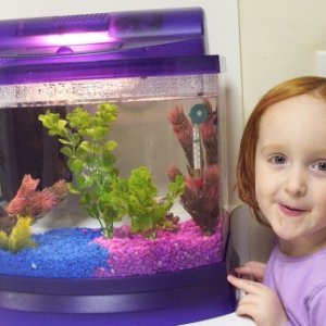 My daughter with our new 5 gallon tank for our betta (we call him Emperor).