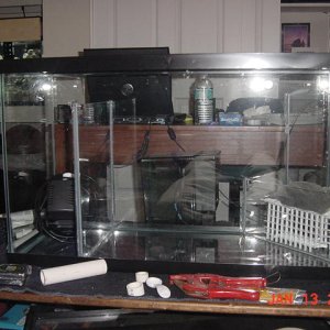 just finished partitioning of 30 g glass tank