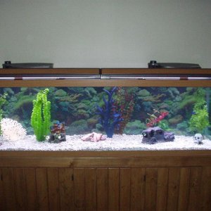 125 Gallon  72Lx18Dx22H
150lbs Crushed coral/shells
(2) Tetra-Tec 500 Filters with 200w heaters