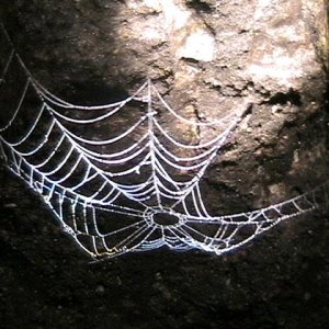i took this photo with a digital camcorder and a flashlight in decorah ice box cave..awesome aint it?