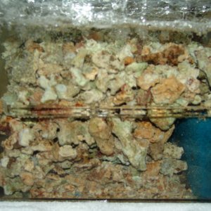 I have replaced all of the bio-balls in my sump with about 30 lbs of live rock rubble.