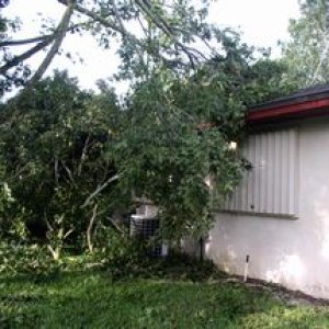 Tree limbs fallen on roof and screen enclosure after Hurricane Charley