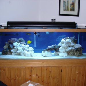 This is my 125 Gallon FOWLR