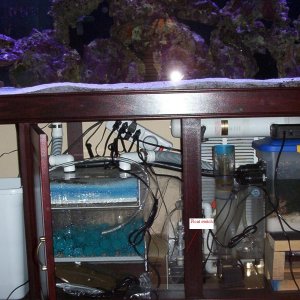 This setup is my first and a bit messy.  I have an auto top off & refugium setup going into my sump.