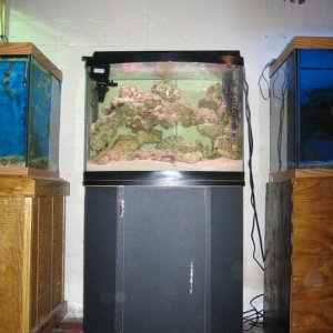 28 gallon euro bowfront flash med