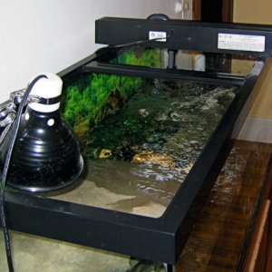 Top view of 75g with built-in turtle shelf