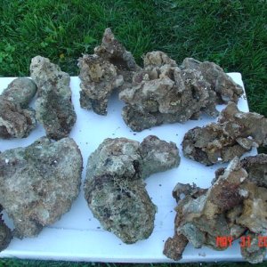 This was purchased from atlanticfishman for 1.95/lb.  What do you think of it?  Haitian live rock.