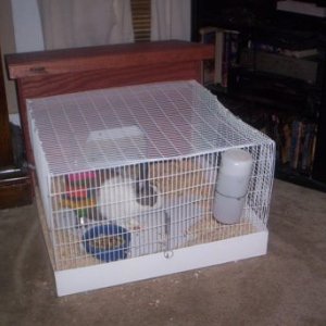 His cage has an indoor part behind the viewing cage, the bell above his food he rings when he is out of food or wants to come out to play(seriously) l