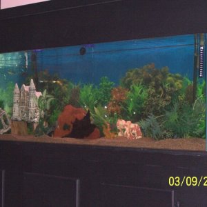 A angled view of the entire tank.