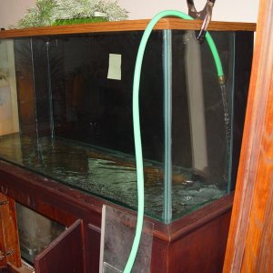 aquarium 61  med