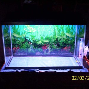 my aquarium 020 med
