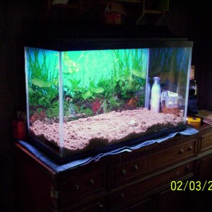 my aquarium 024 med