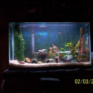 my aquarium 026 med