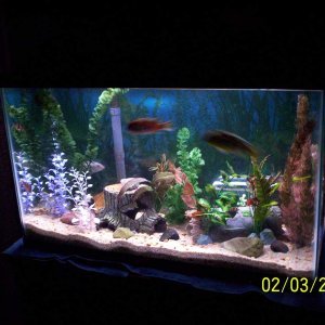 my aquarium 038 med