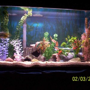 my aquarium 040 med