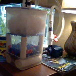 My DIY canister filter