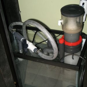 10 gal sump with Coralife Super Skimmer 65 (needle wheel) and pondmaster mag drive 500
