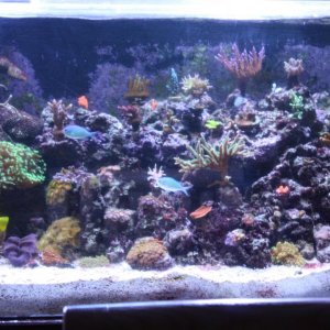 Right Side of tank