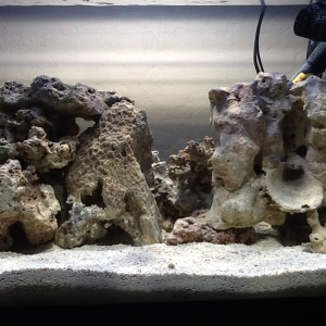 Redid aquascape.  This is with the metal halide light, t5 blue actinic and LEDs on.