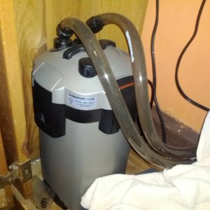 My Marineland C-220 Canister filter