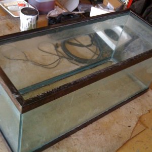 Soon to be new African Cichlid Tank