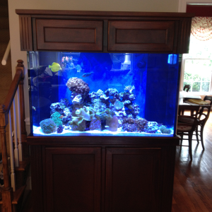 My most recent install. 150gall reef