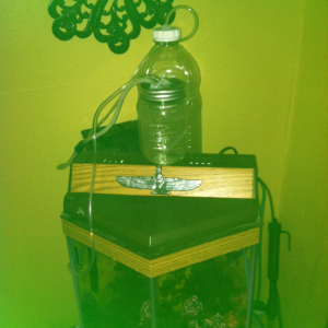 Do it yourself co2 system I made..