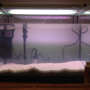 Kicked it off! Running a fishless cycle with a heater, filter/pump and our light ready for our natural plants and tropical fish! Can't wait for it to 