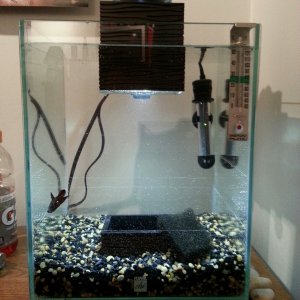 Flash's new home