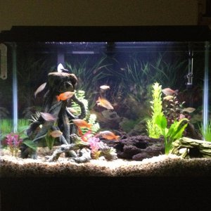 Front shot of the tank