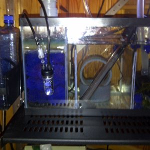DIY Bio-Filter and CO2 System