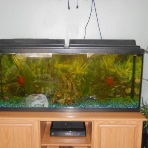 This is not my tank but it looks cool