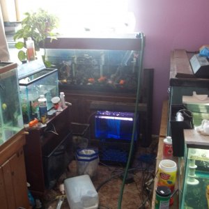 fish room 002
