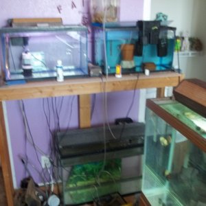 fish room 004
