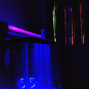 Night shot of the tank... Trippy black lights on some melted black light reflective crayons.... Posted @ 420