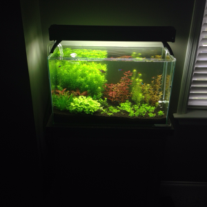 NEWEST FTS: 10/7/13