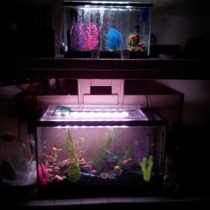I could not find any tank covers that allowed me to have side mounted filters so I made some with acrylic panels and an LED bar