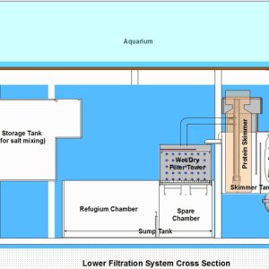 Aquarium Lower Filtration Layout