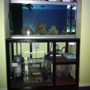 Fluval 84.5 Gallons 30 Gallons sump Aquallumination system, ecotech wave system 40w, E shopps Cone Skimmer