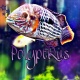 PolyptRus's Avatar
